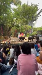 VID-20240403-WA0041