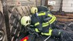 Ninhada de cachorrinhos salva de incêndio na Ucrânia