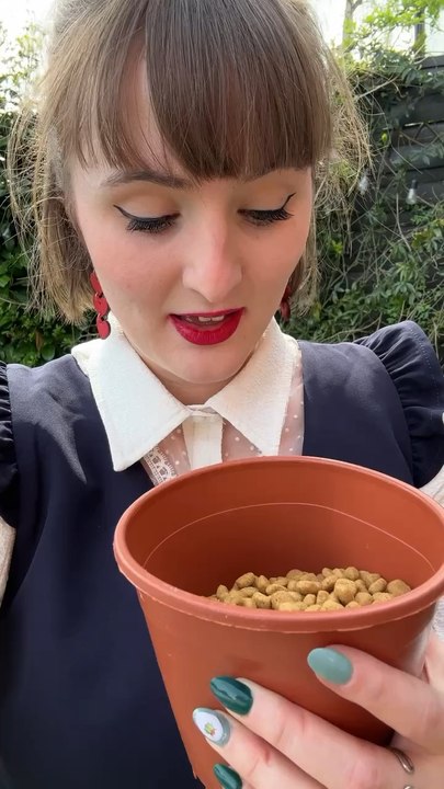 Arrête de nourrir les Hérissons !