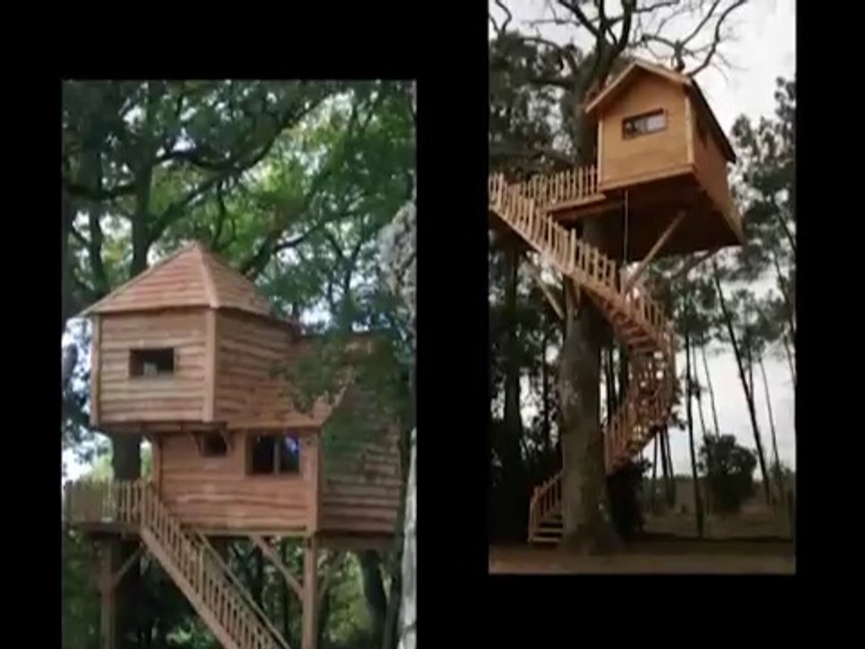 Stéphane fait fortune avec ses cabanes dans les arbres