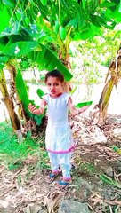 दीवाना है यह दिल डांस dharmi dance video