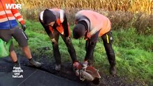Passt, wackelt und hat Luft (S1E1)：Unterwegs mit Azubis im Handwerk - WDR
