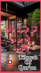 Recitation Of Surah Al Baqrah...! #Islam #AlShaikhAbdulAziz #ViralReciting #recitation #recitationcoran #family #fyp  #reelsfb #reelitfeelit #reelsviralシ #reelsfyp #reelit #viralreelsfb