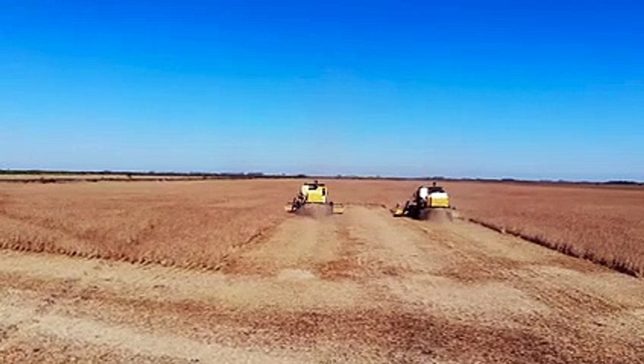Paraguay es uno de los mayores exportadores de soja del mundo.