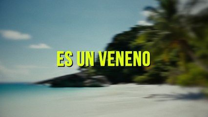 Internacional Carro Show - Veneno (LETRA)