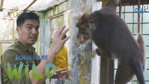 Visting rescued animals in Oriental Mindoro | Born to be Wild