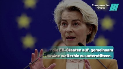 Kritik an AfD: Verbindungen zu Russland und Vorwürfe gegen Petr Bystron