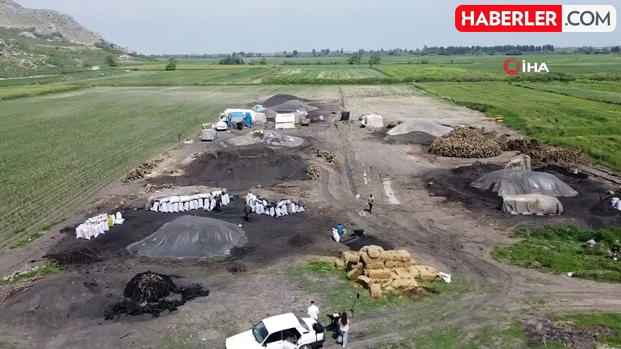 Çukurova sıcağında narenciye odunları mangal kömürüne dönüşüyor