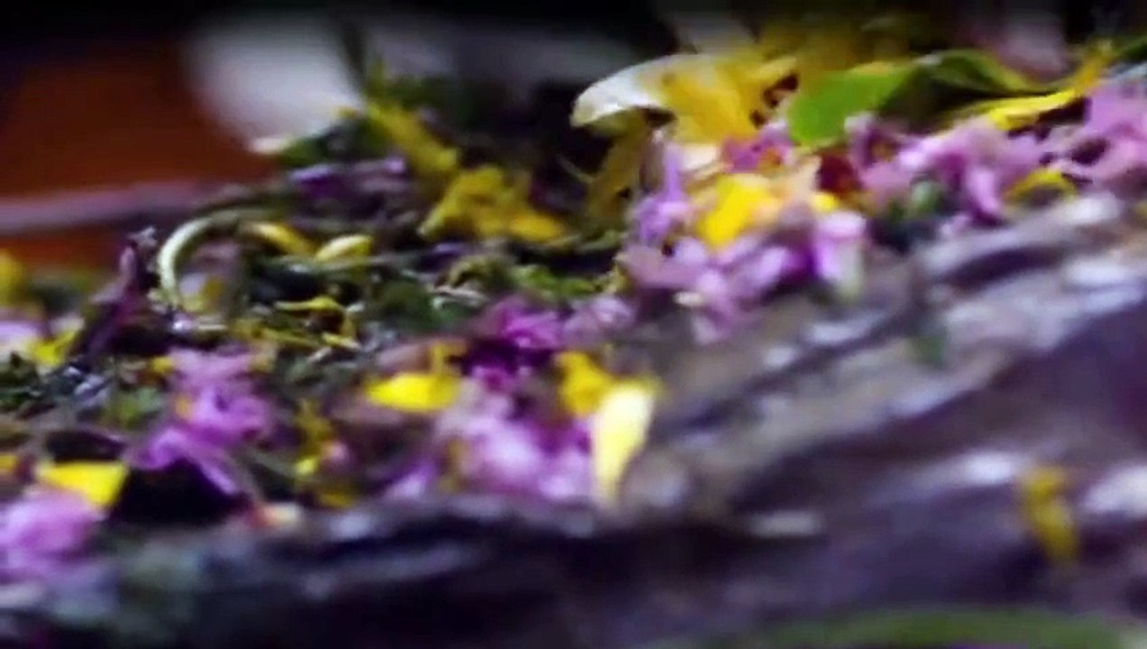 Die Bergretter Staffel 6 Folge 2b (34) Verschollen