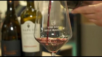 Vinitaly, Antonini: Marche puntano su biologico e sostenibilità