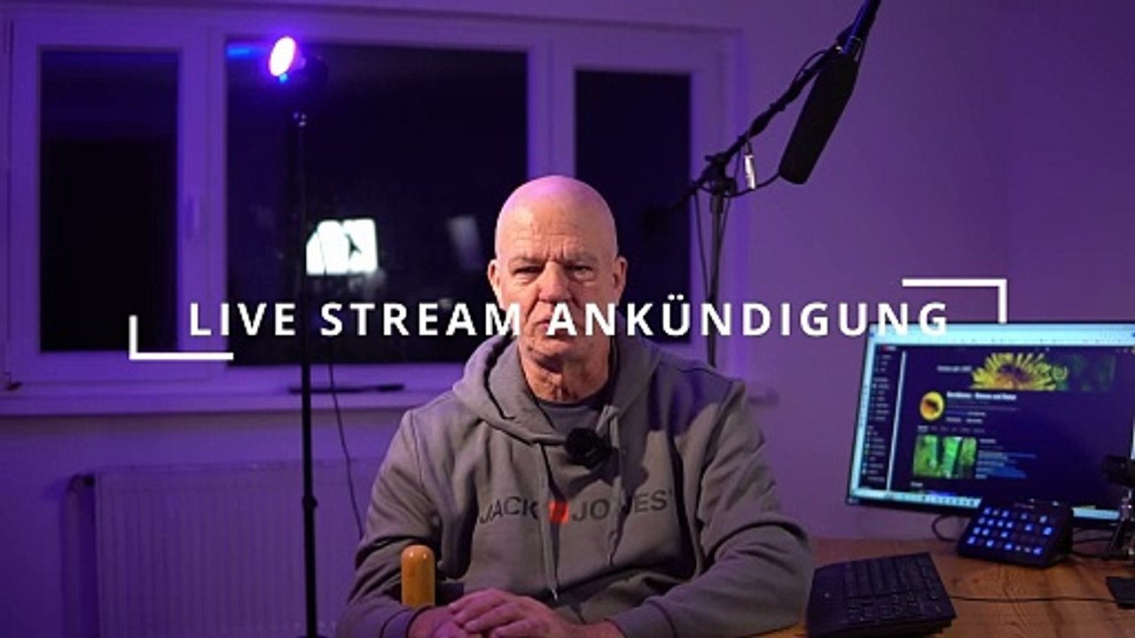 Studio Nordbiene