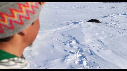 The Last Ice (2020) stream deutsch anschauen