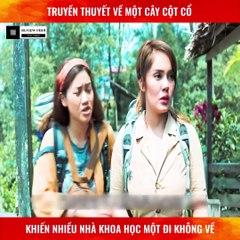 Review Phim - Truyền Thuyết Về Cây Cột Cổ Khiến Nhiều Nhà Khoa Học Một Đi Không Trở Lại