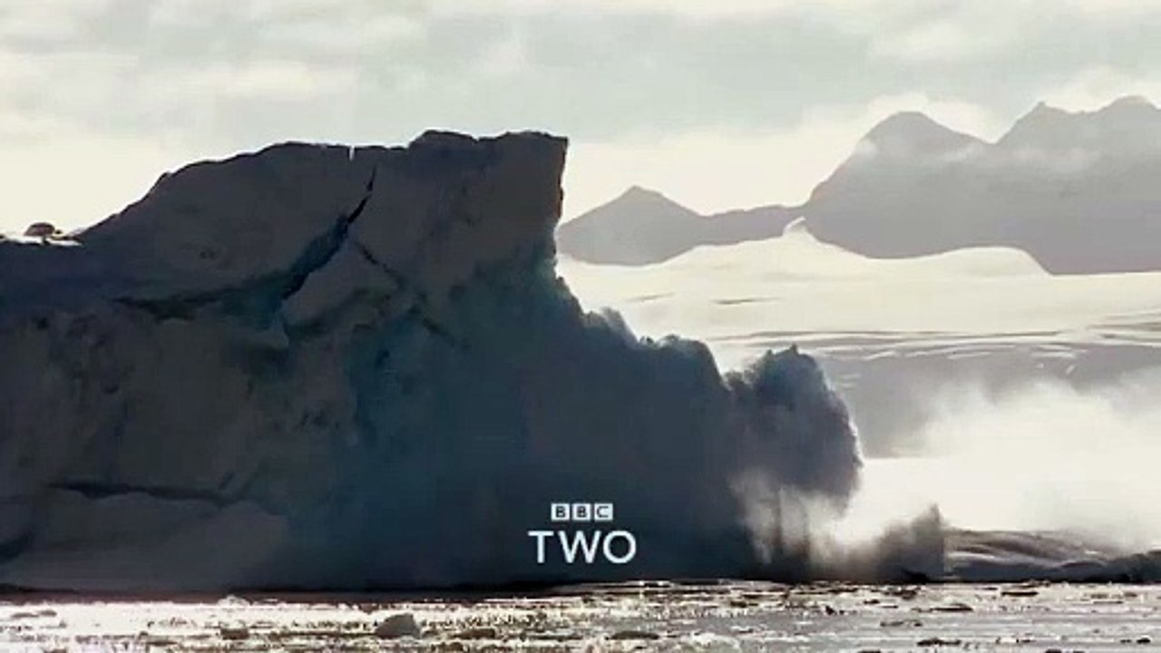 Frankie Boyle's New World Order Saison 1 - Frankie Boyle's New World Order: Trailer - BBC Two (EN)