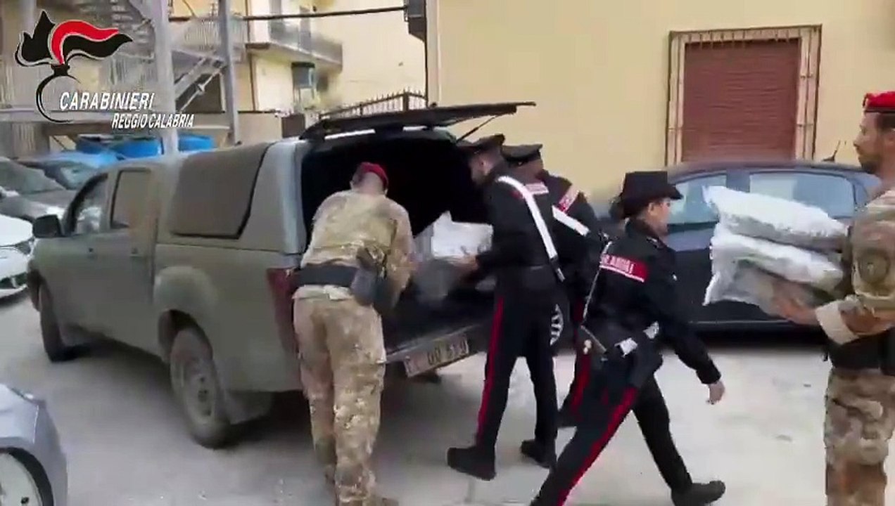 marijuana rosarno