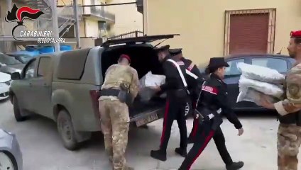 Marijuana in Rosarno: Drug Scene Overview 🌿