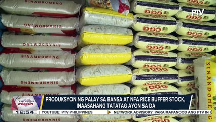 Produksyon ng palay sa bansa at NFA rice buffer stock, inaasahang tatatag ayon sa DA