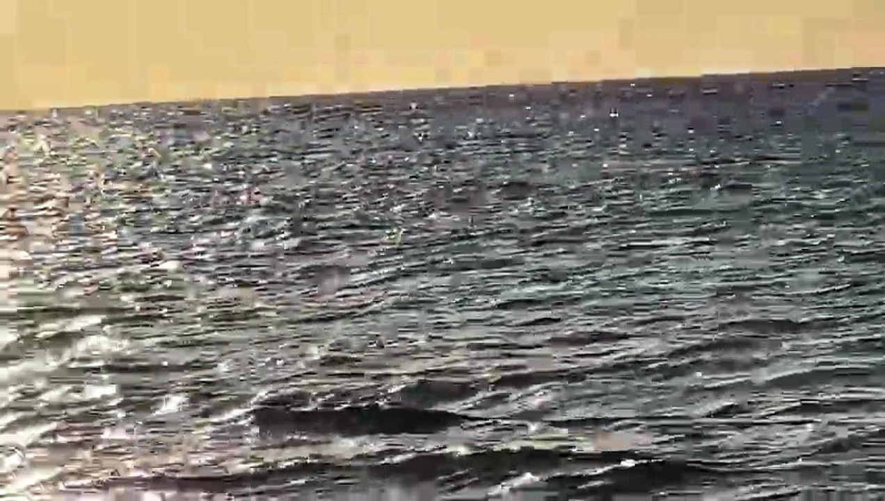 جوله بحرية