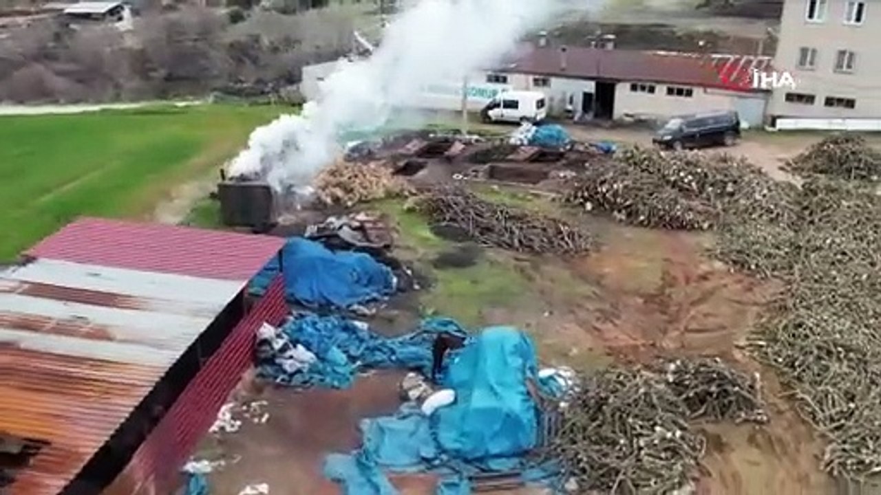 Dev ocaklarda yakılan odunlar kömür olarak yurt dışına gönderiliyor