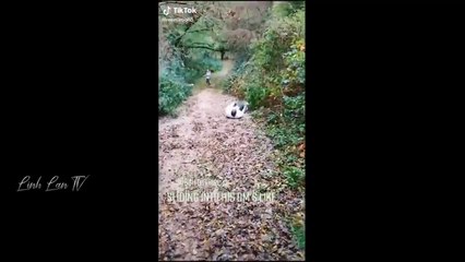 Konten Lucu Part 2 😂