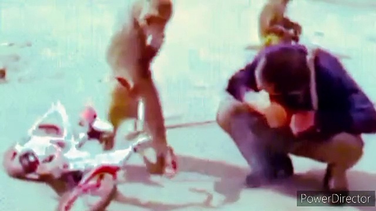 Funny monkey video