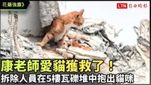 花蓮強震》康老師愛貓獲救了！拆除人員在5樓瓦礫堆中抱出貓咪（民眾提供）
