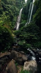 Trying-to-find-a-new-perspective-from-th_246