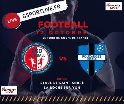 ESO La Roche / Pouzauges BFC