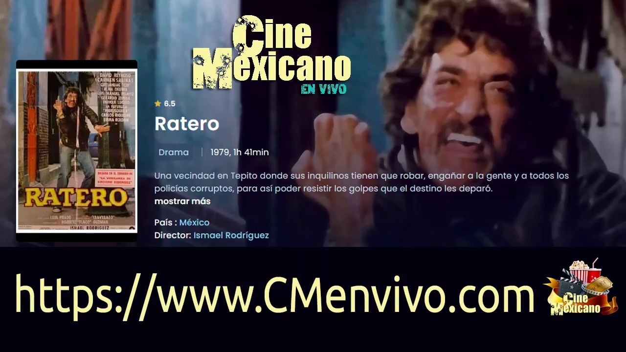 PELICULA RATERO HD 1978