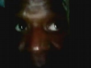 l' ane de shrek en vrai il parle