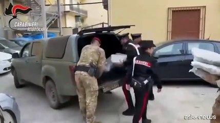 Calabria, a Rosarno trovati oltre 188 chili di marijuana