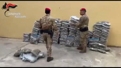Calabria, a Rosarno trovati oltre 188 chili di marijuana