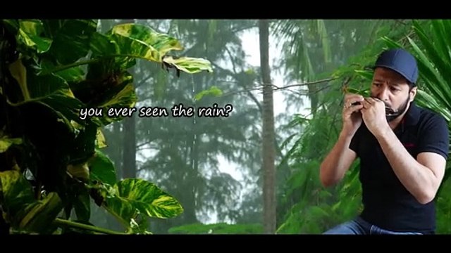 Have You Ever Seen The Rain - Creedence Clearwater Revival #harpmanofperth #dailymotion #harmonica #instrumental # cover #music