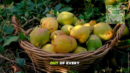 5 Amazing Health Benefits of Pears - Why Doctors Love This Superfruit!