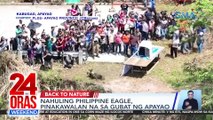 Nahuling Philippine Eagle, pinakawalan na sa gubat ng Apayao | 24 Oras Weekend