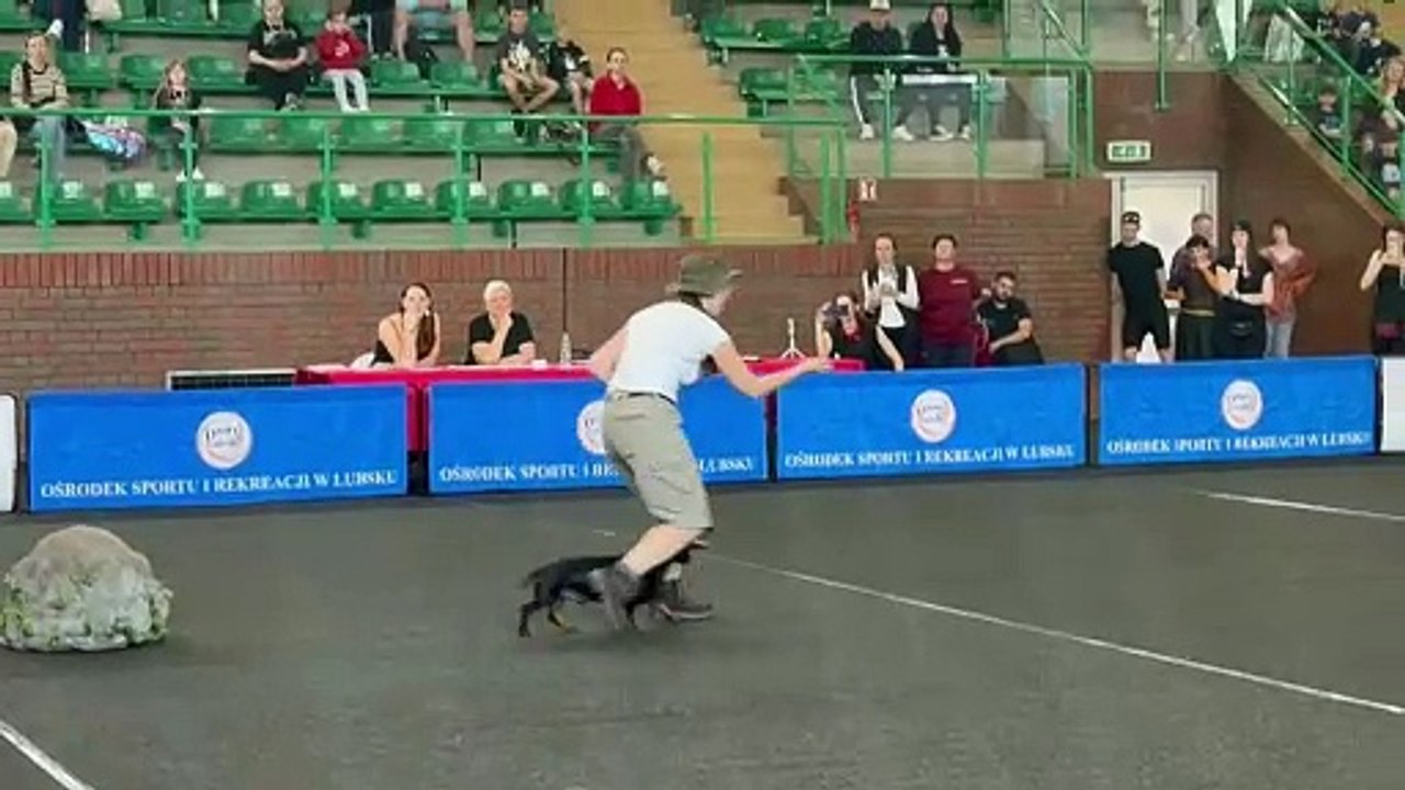 Gazeta Lubuska. Dogdancing w Lubsku