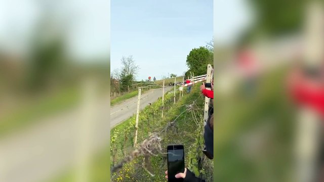 Paura al rally, l'impressionante incidente tra i filari delle Langhe