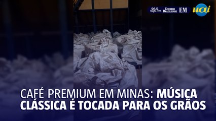 Café "premium" tem música clássica tocada para os grãos