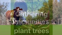 farm planting trees & teaching farming!