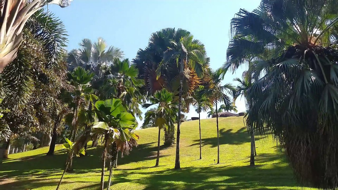 2022-12-12_Martinique-rhumClément