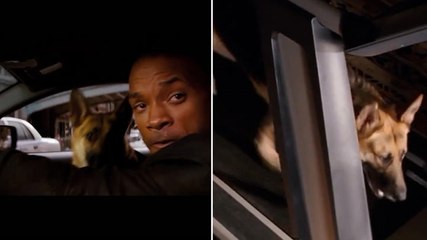 Will Smith pays loving tribute to I Am Legend dog with poignant video montage
