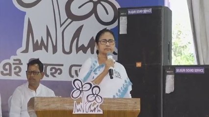 সবচেয়ে বড় চোর, মাফিয়া তৈরি করে বিজেপি: মমতা বন্দ্যোপাধ্যায়