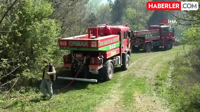 Bursa'da ormanlık alanda yangın çıkan yangın kontrol altına alındı