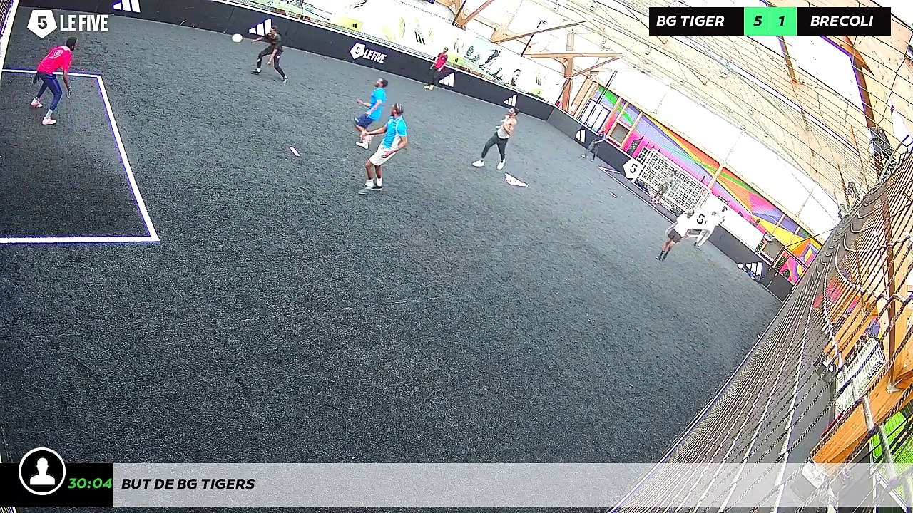 But de bg tigers