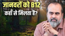 जानवरों को B12 कहाँ से मिलता है? || आचार्य प्रशांत (2020)