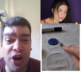 Adestrou uma mosca  kkkk