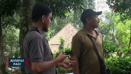 Viral! Wisatawan di Kebun Teh Subang Dipalak Rp 100.000 untuk Sewa Tikar