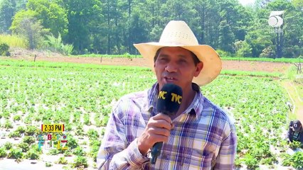 Sábado Feliz - La Esperanza, Intibucá