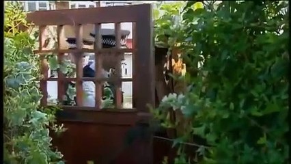 The Bill S21E73 Mixing Business With Pleasure