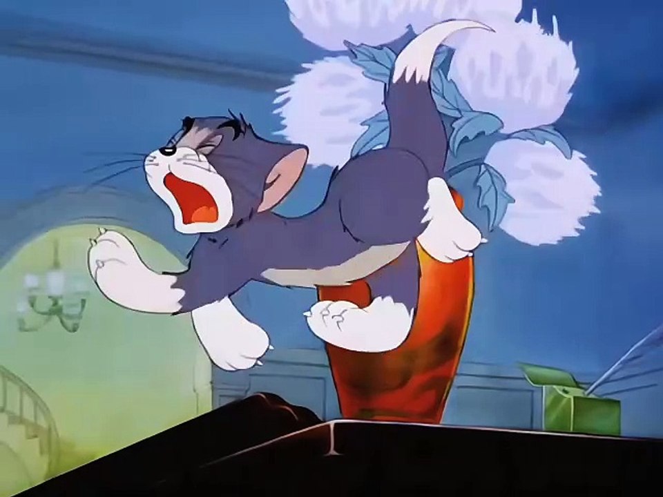 Tom and jerry funny clip